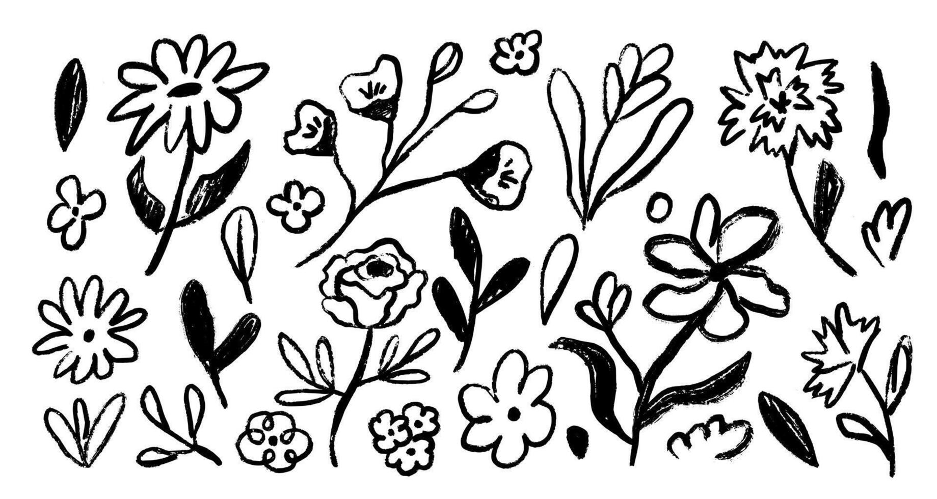 Abstract ink floral botany elements in doodle style. Drawing drawing wild plants and flowers. Hand drawn botanical illustrations. vector