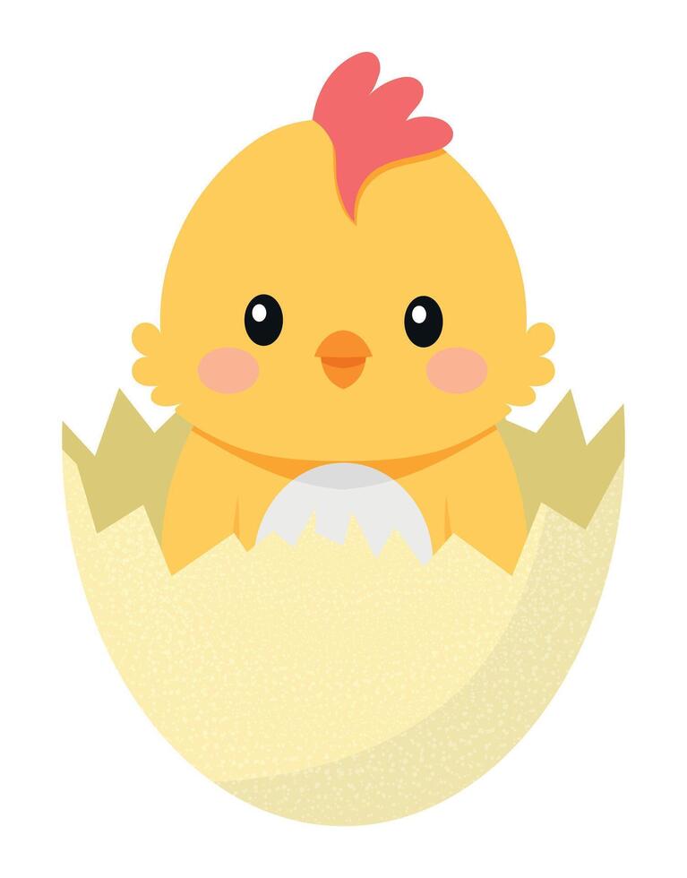 Cute Baby Chick Hatching Egg vector