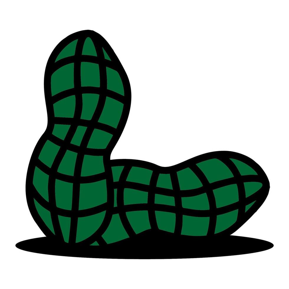 picture of peanut skin with white background. vector