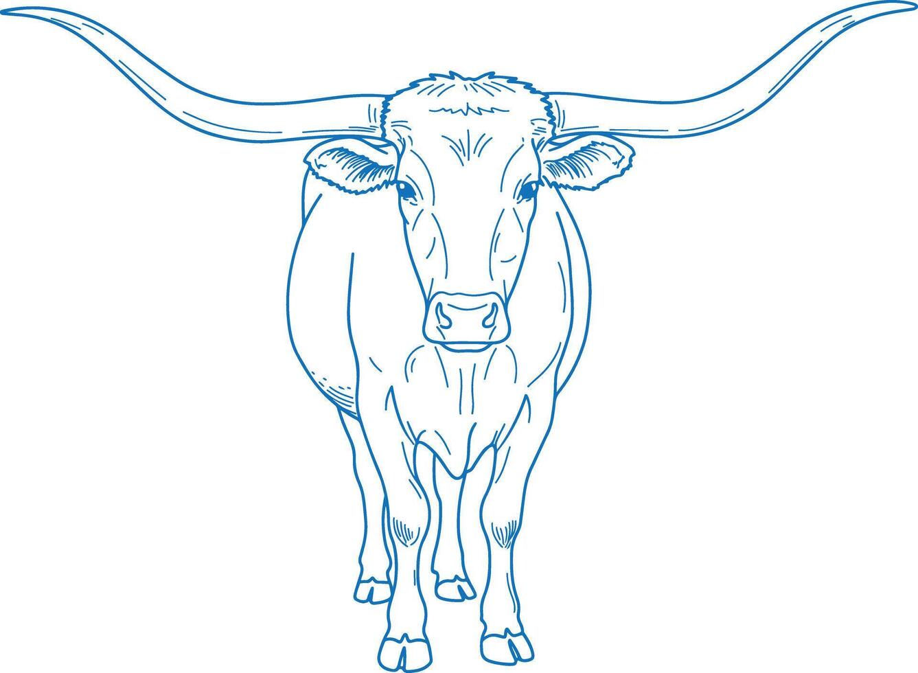 Simple Minimal Hand Drawn Texas Longhorn Cow Front View vector