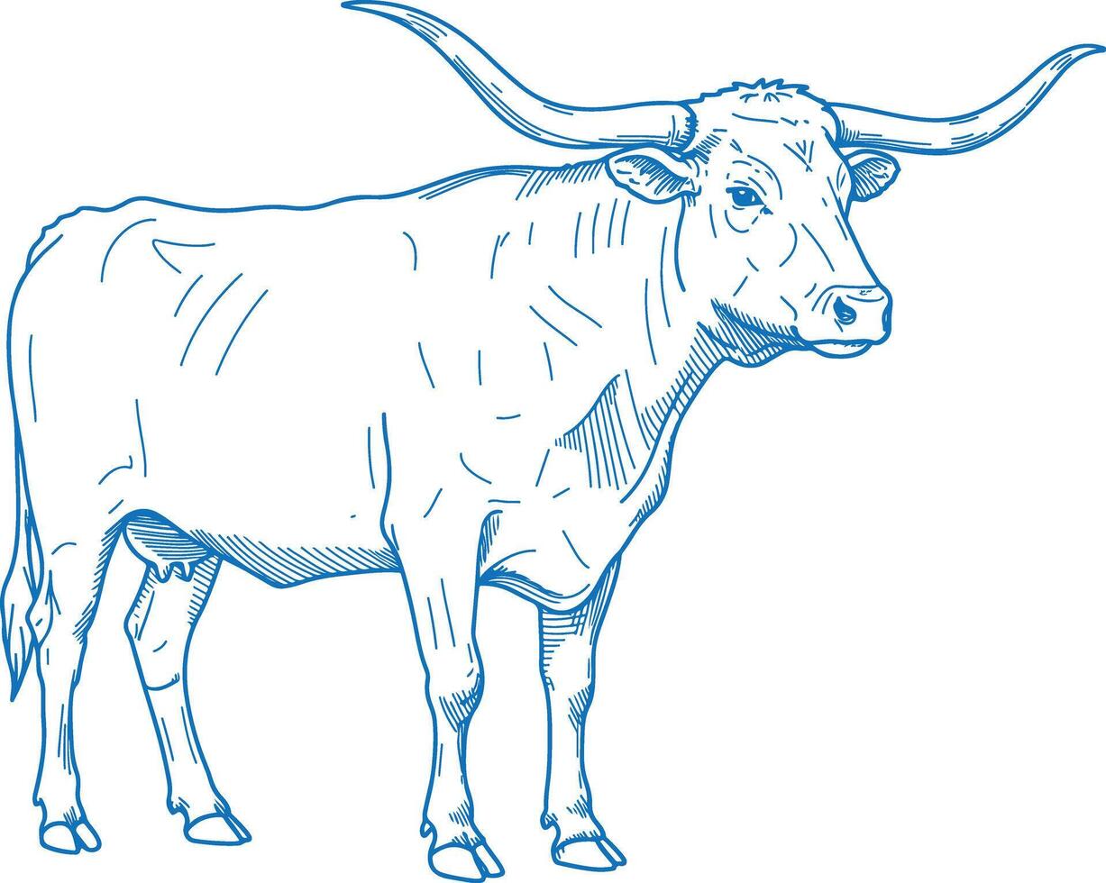 Minimal Hand Drawn Texas Longhorn Cow Side View vector