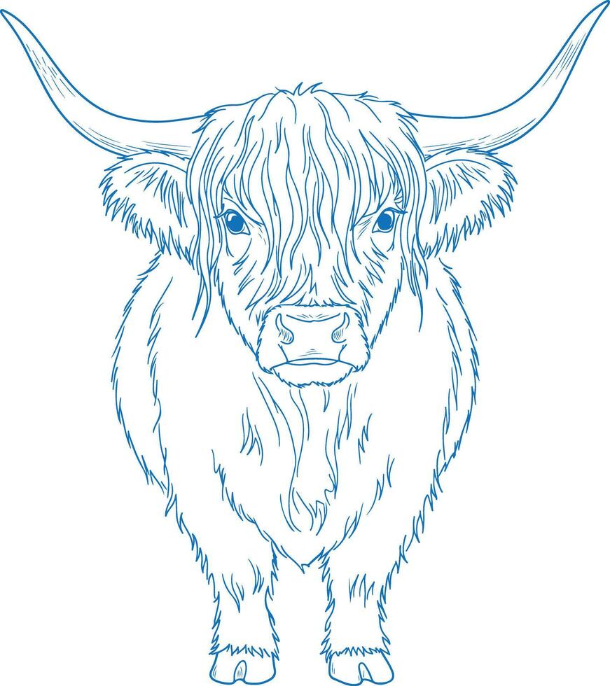 Simple Minimal Hand Drawn Highland Cow Front View vector