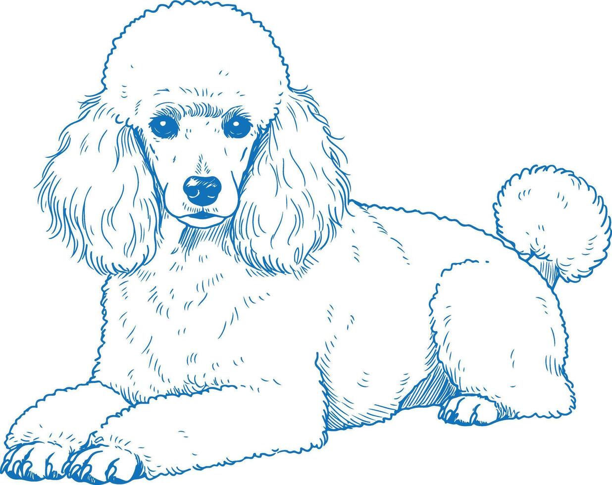 Adorable Poodle Dog Illustration Featuring Playful Pose and Expressive Features Perfect for Pet Lovers and Animal Enthusiasts Digital Art of a Poodle with Detailed Fur and Friendly Expression vector