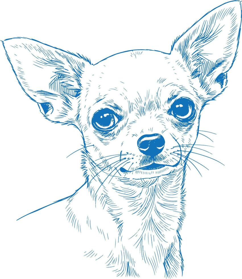 Hand drawn blue ink sketch of a Chihuahua dog in side view vintage minimalist illustration isolated on white background ideal for pet themed designs merchandise and art prints vector