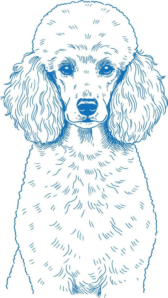 Playful Poodle Dog Illustration with Soft Fur and Bright Expression, Perfect for Dog-Themed Art and Pet Product Designs vector