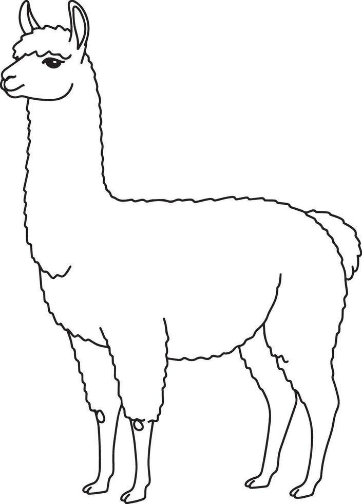 Minimalist hand drawn llama illustration with elegant monoline style and clean modern animal-themed aesthetic design vector