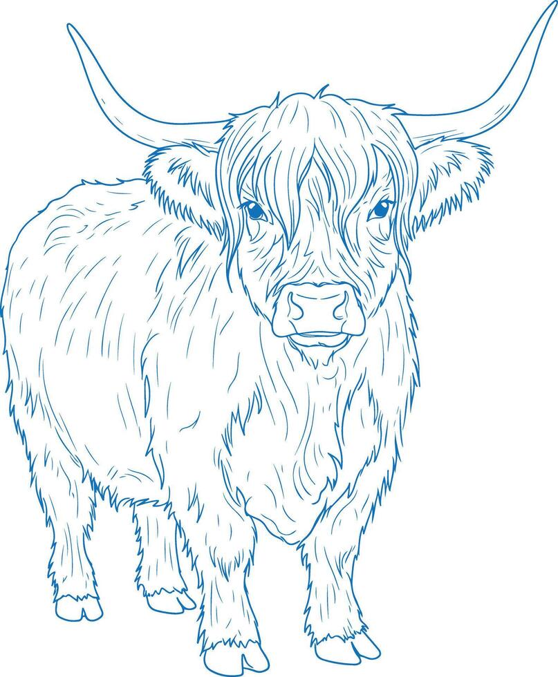 Simple Minimal Hand Drawn Highland Cow vector