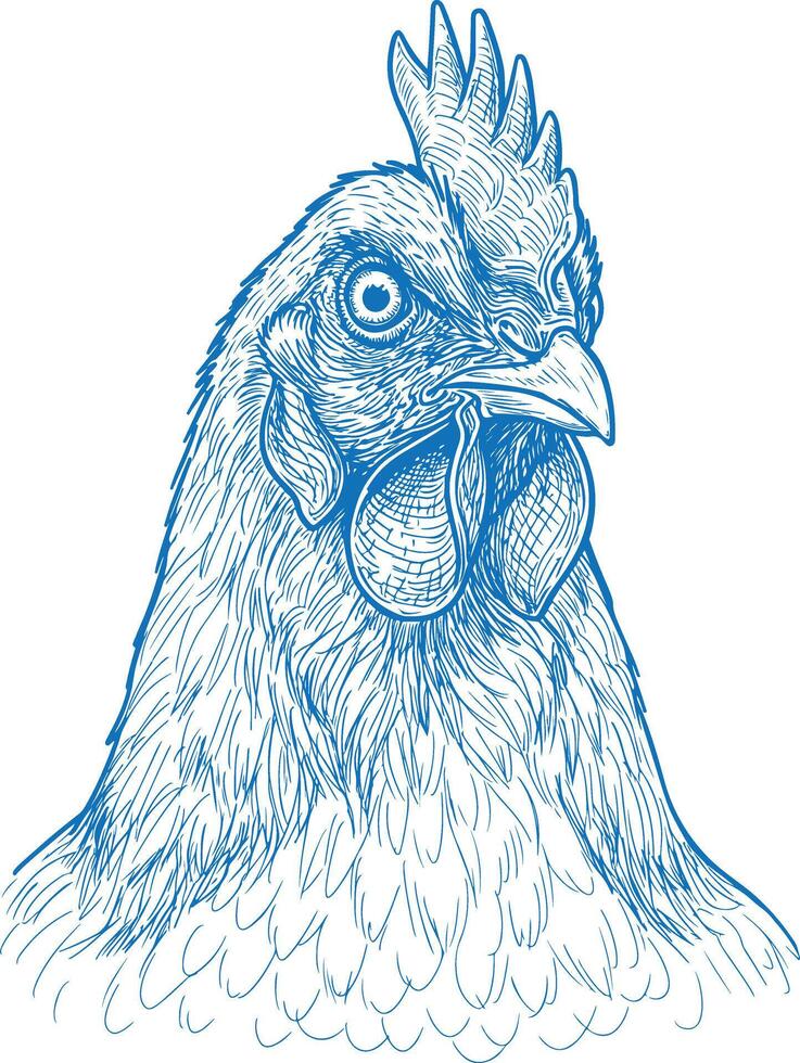 Elegant hand drawn chicken artwork featuring detailed feathers and rustic charm ideal for farmhouse prints country decor organic farm projects and rural branding illustrations vector