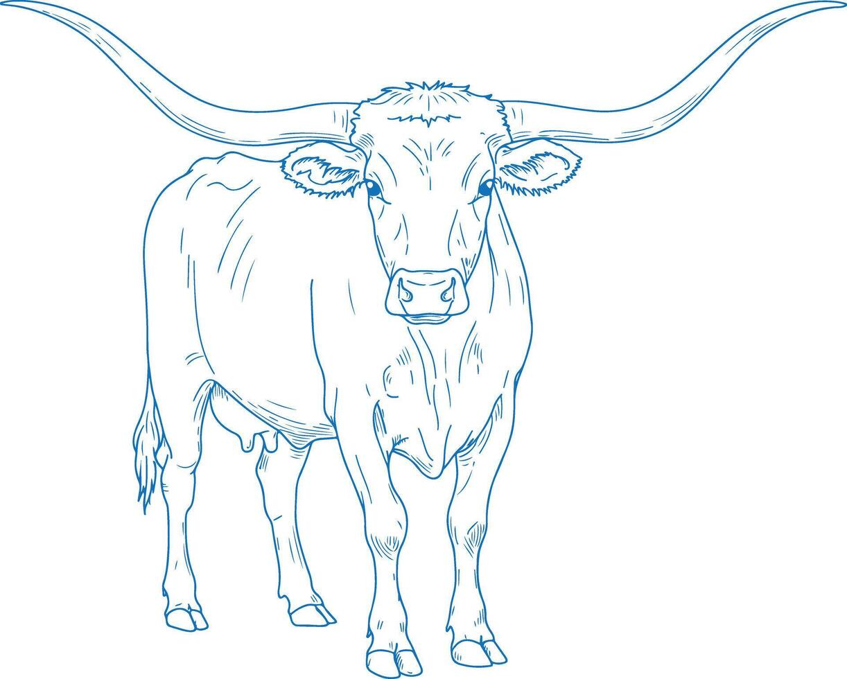 Minimal Hand Drawn Texas Longhorn Cow Front View vector