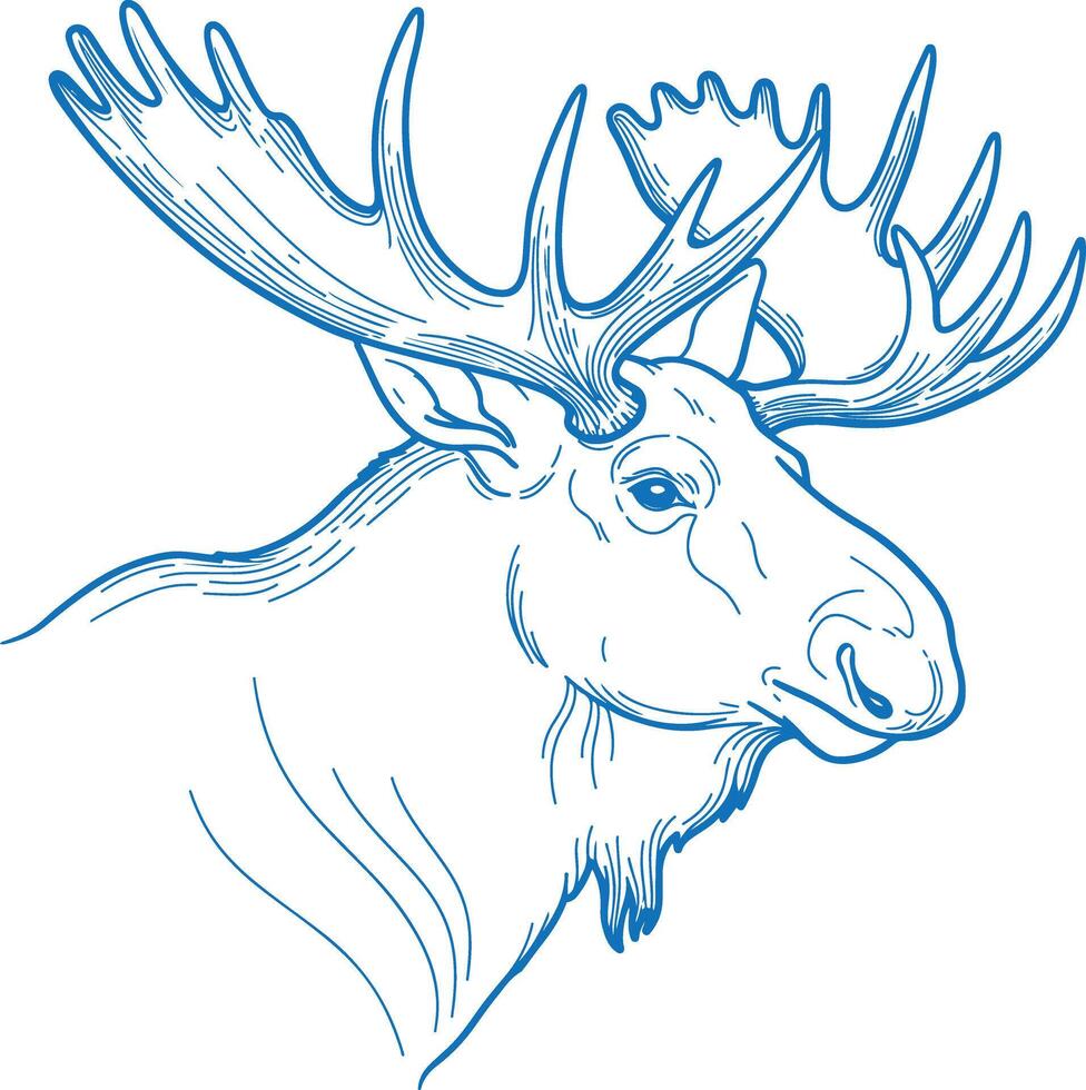 Hand drawn minimal moose head illustration in clean line style featuring elegant monoline details and modern aesthetics vector