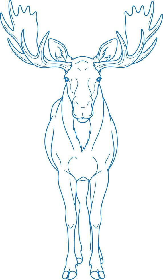 Minimalist hand drawn moose illustration front facing design in clean simple line art ideal for modern wildlife themes vector