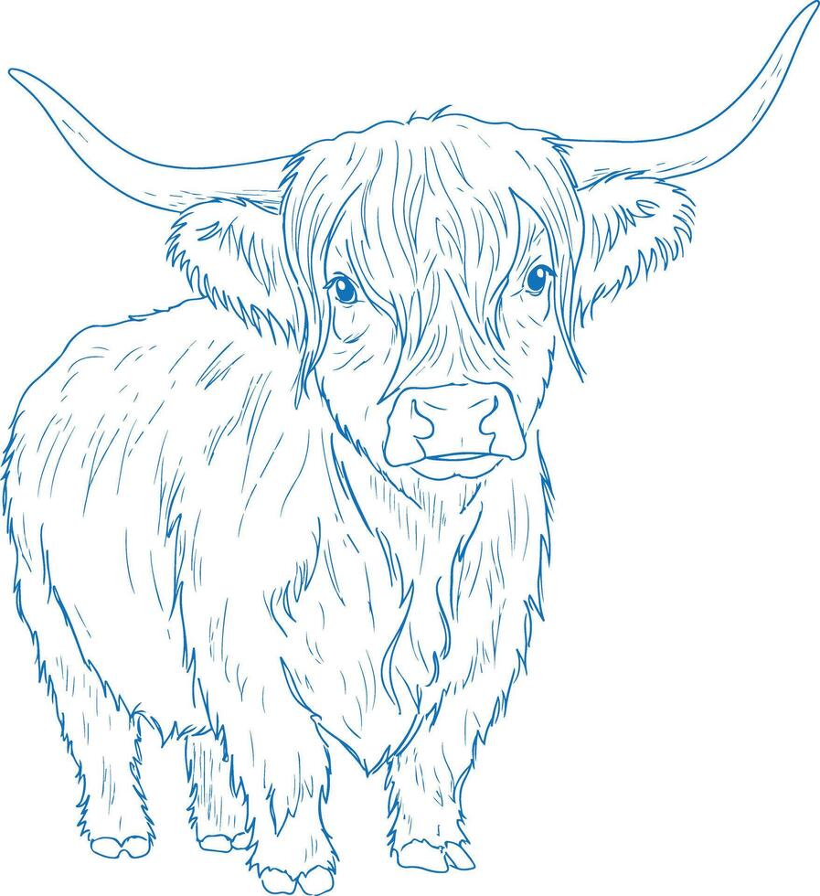 Minimal Hand Drawn Highland Cow vector