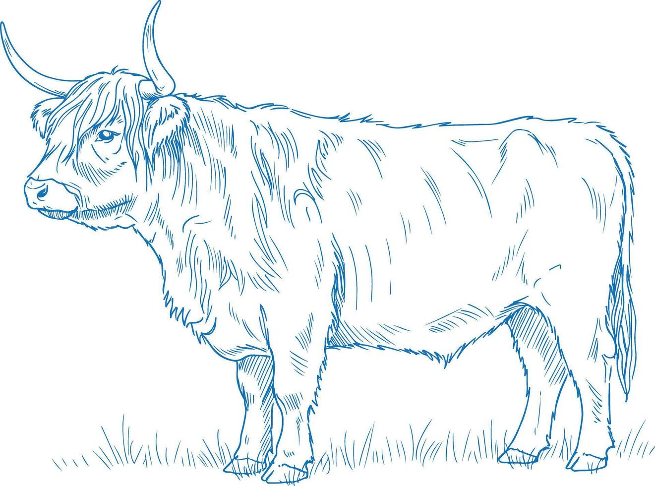 Simple Minimal Hand Drawn Highland Cow Side View vector