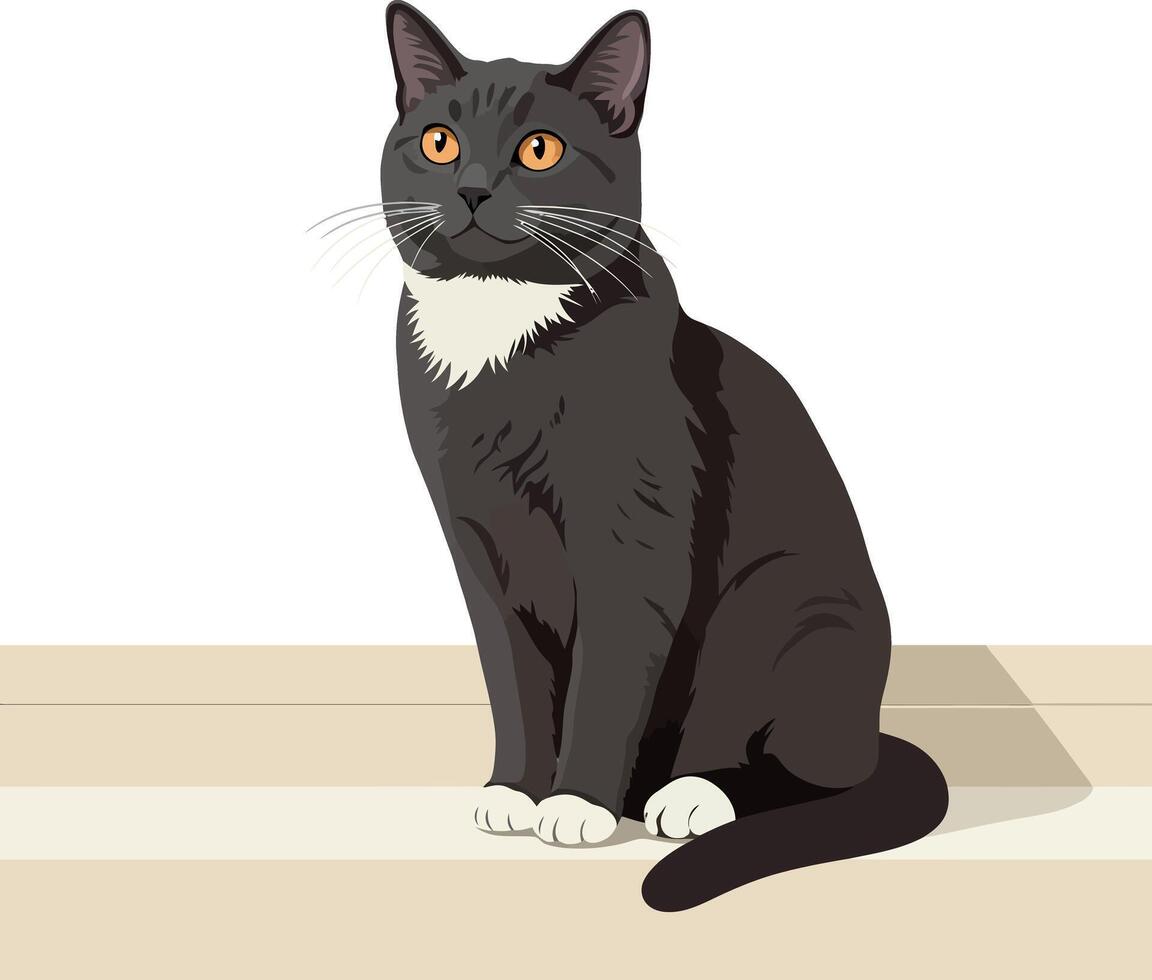 Black and white cat sitting on wooden floor with orange eyes illustration vector