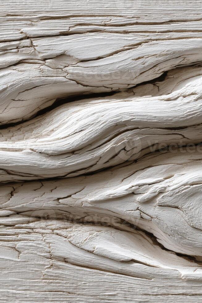 Rustic wood texture with intricate patterns and crevices photo