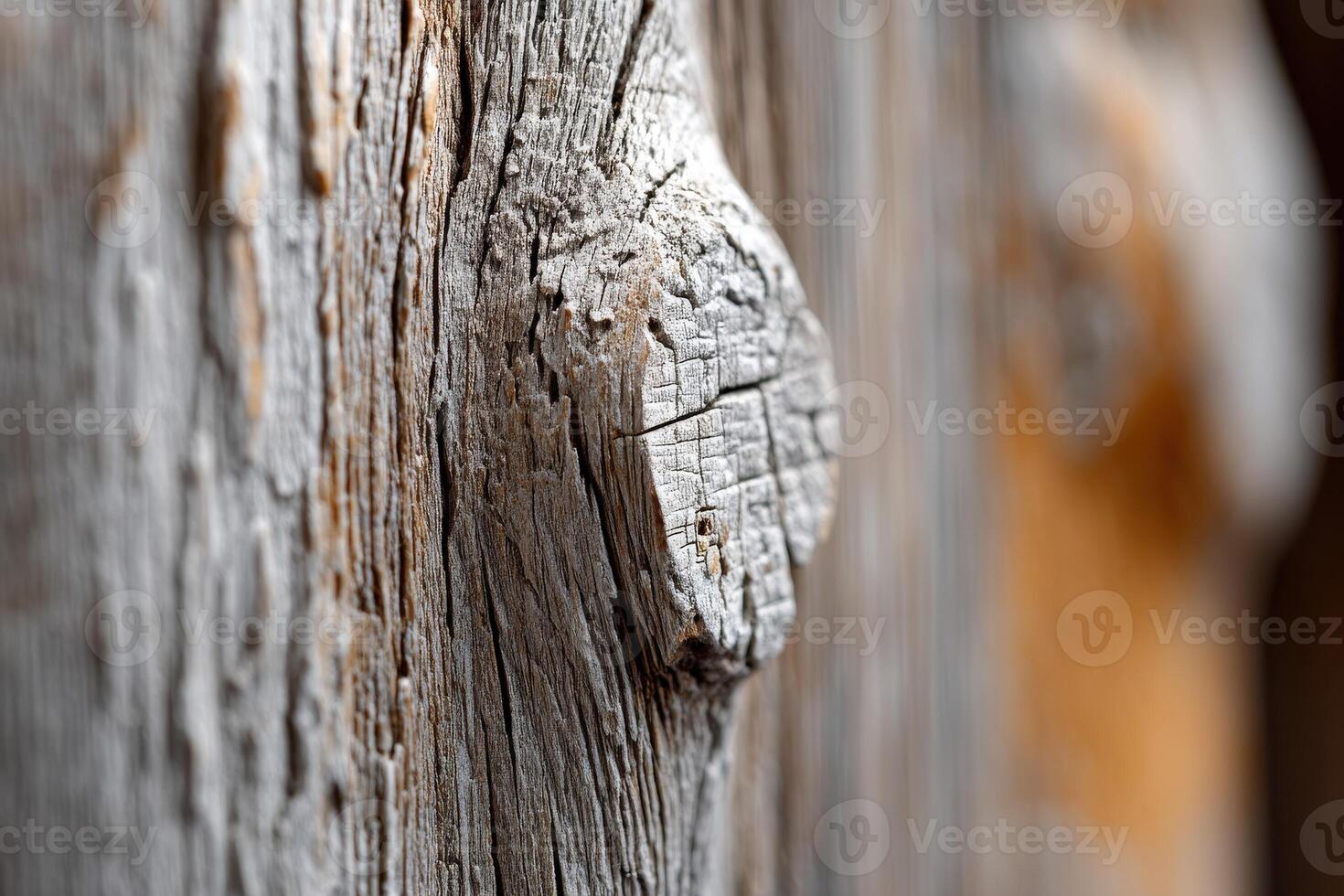 Close-up of weathered wood with knots and textures photo