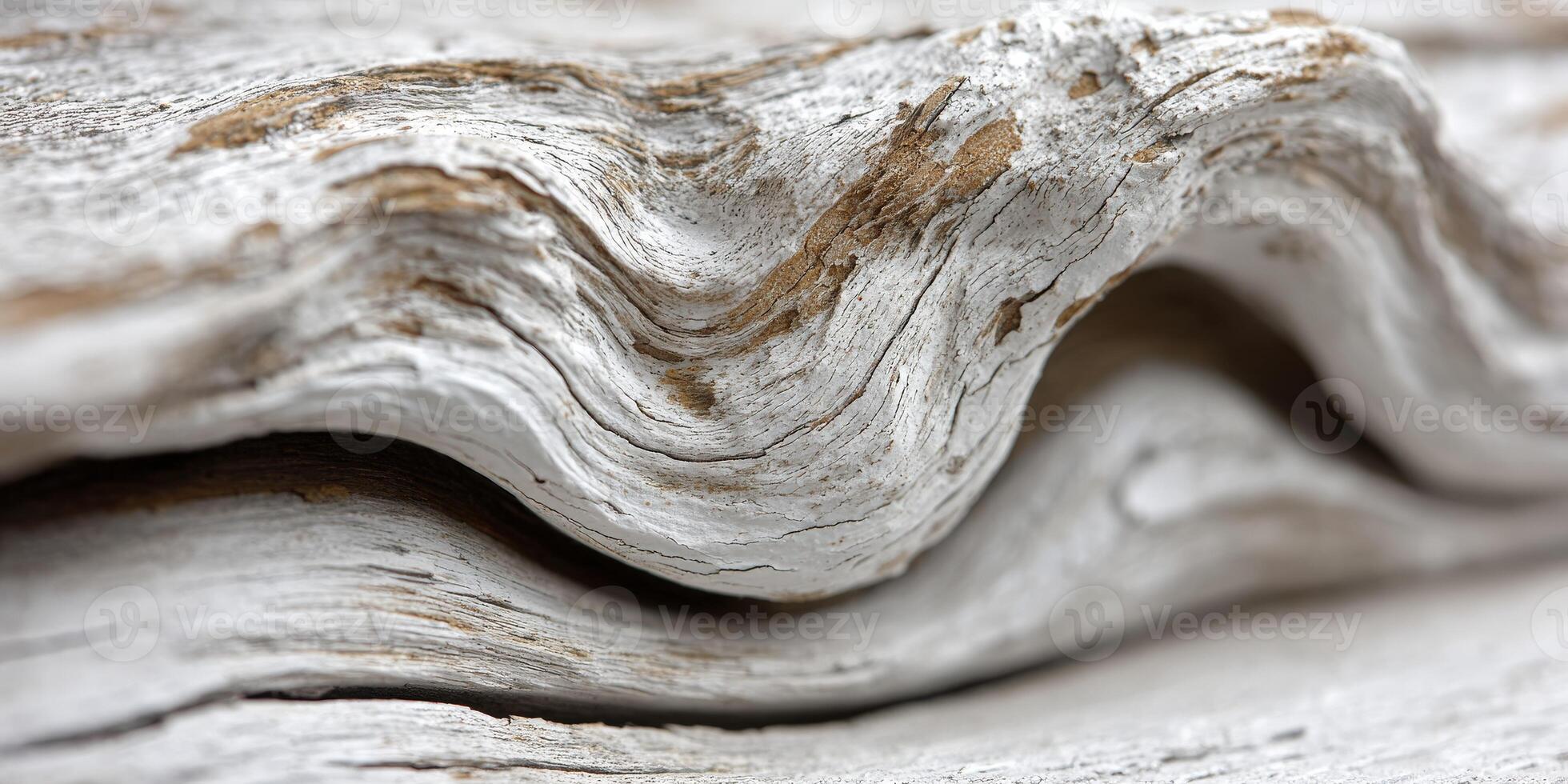 Rustic wood texture with unique waves in natural light photo