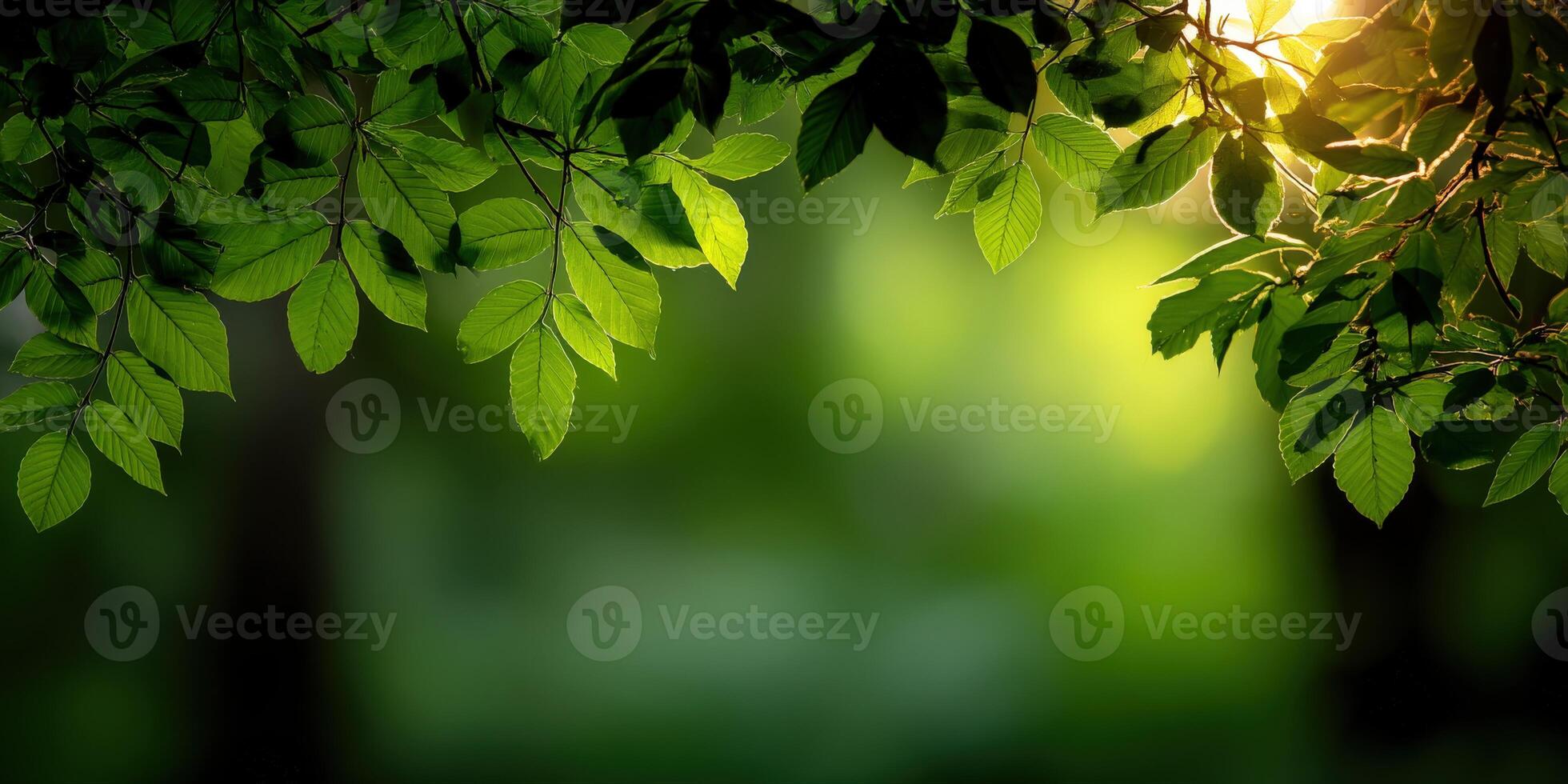 Sunlight filtering through lush green leaves in a tranquil forest photo