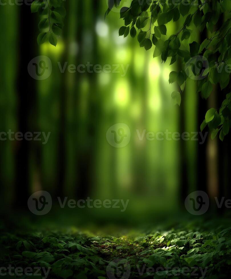 Lush green forest path inviting exploration and tranquility in nature photo