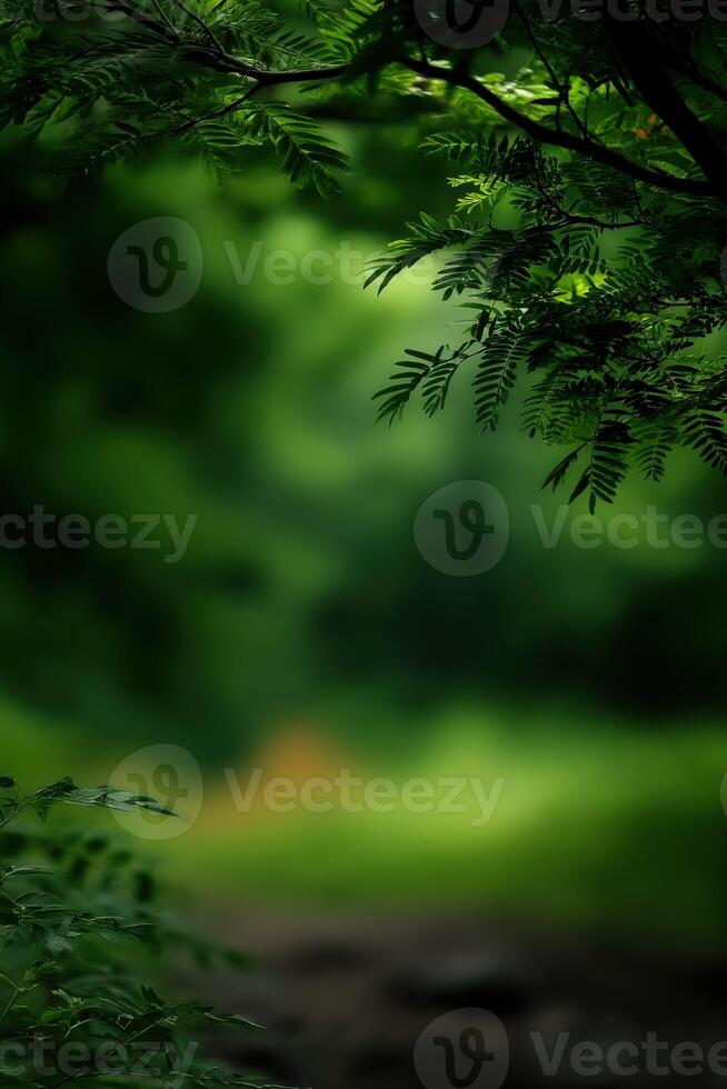 Whispers of nature unfold in a lush emerald forest path photo