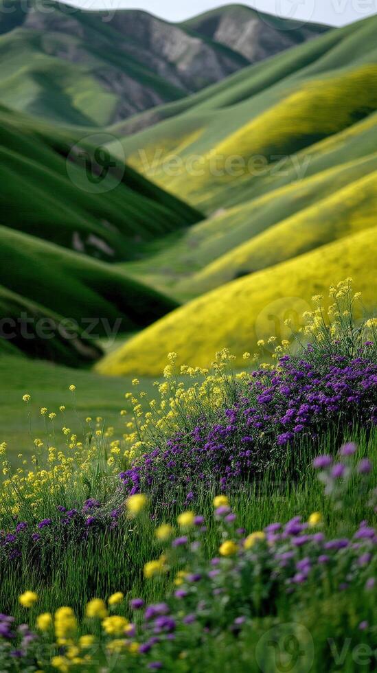 Vibrant wildflowers bloom in lush green valleys photo
