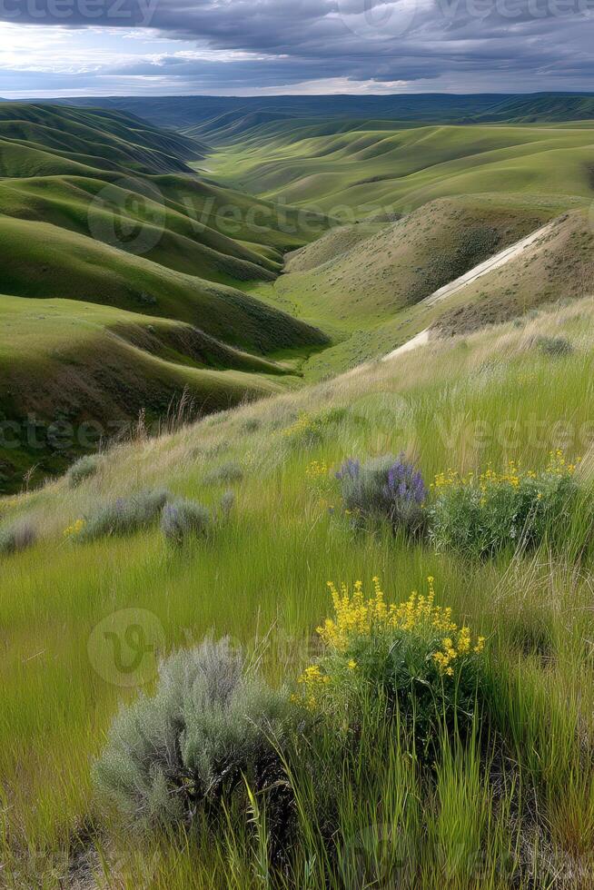 Rolling green hills under a cloudy sky in nature photo