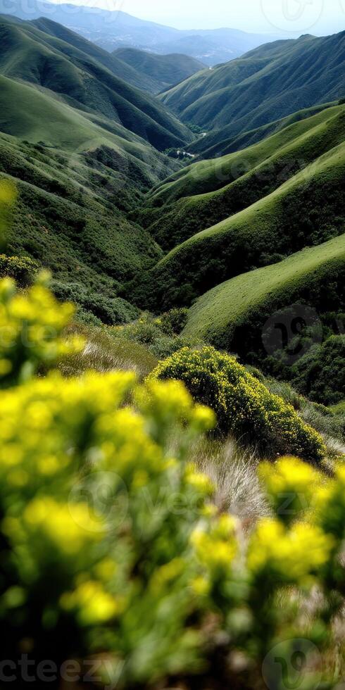 A view of the hills and green grass photo