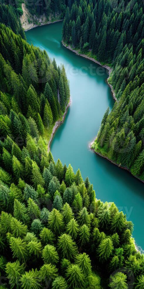 An aerial view of a river surrounded by trees photo