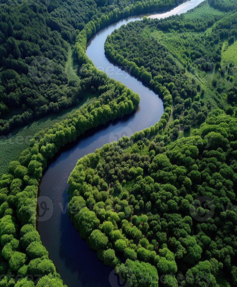 An aerial view of a river flowing through a green forest photo