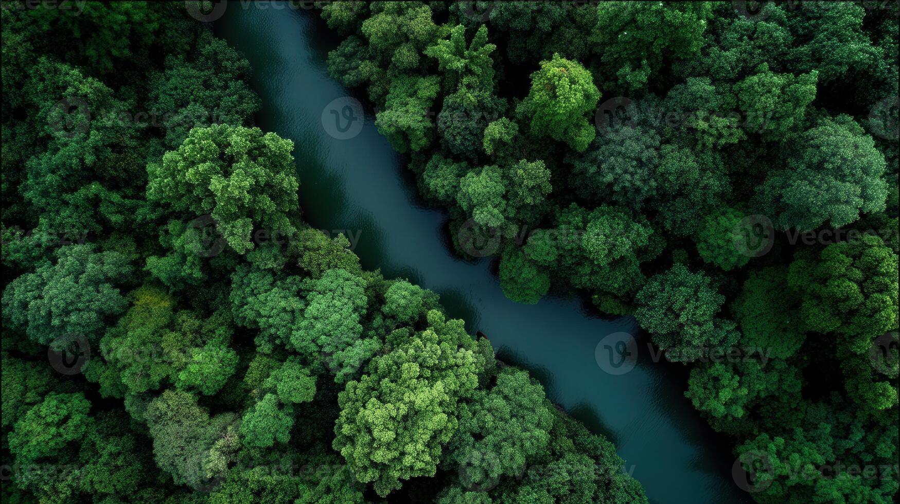 Aerial view of green forest and river - nature stock videos royalty-free footage photo