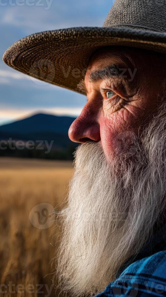 Portrait of a bearded man in a golden field at sunset photo