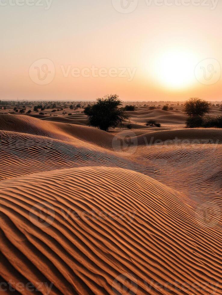 Sunset over the tranquil dunes in the desert landscape photo