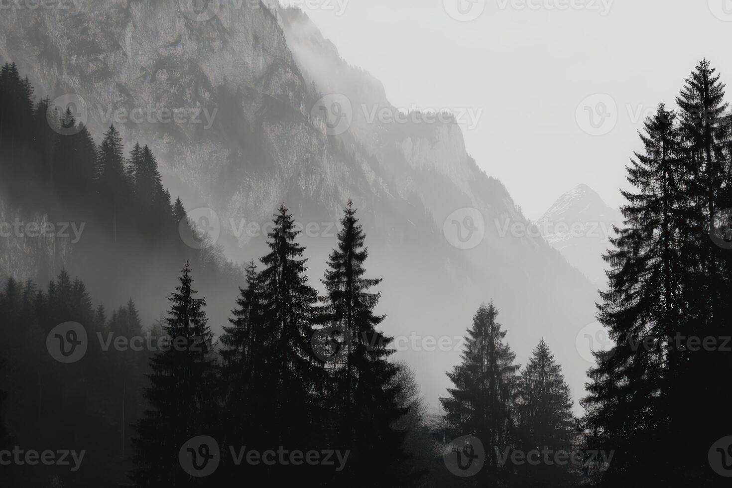 Misty mountain landscape with towering evergreens photo