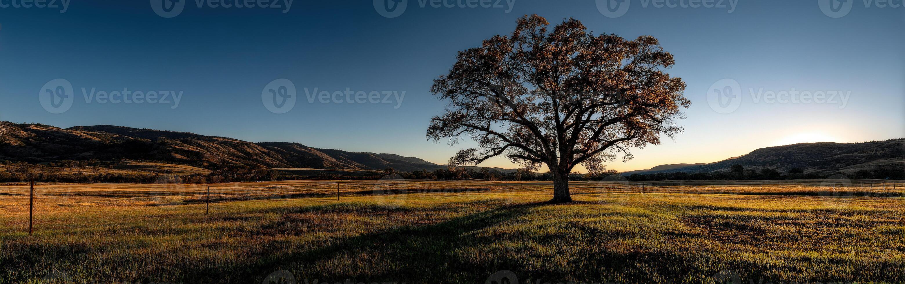 Majestic tree stands alone in expansive meadow at dusk photo