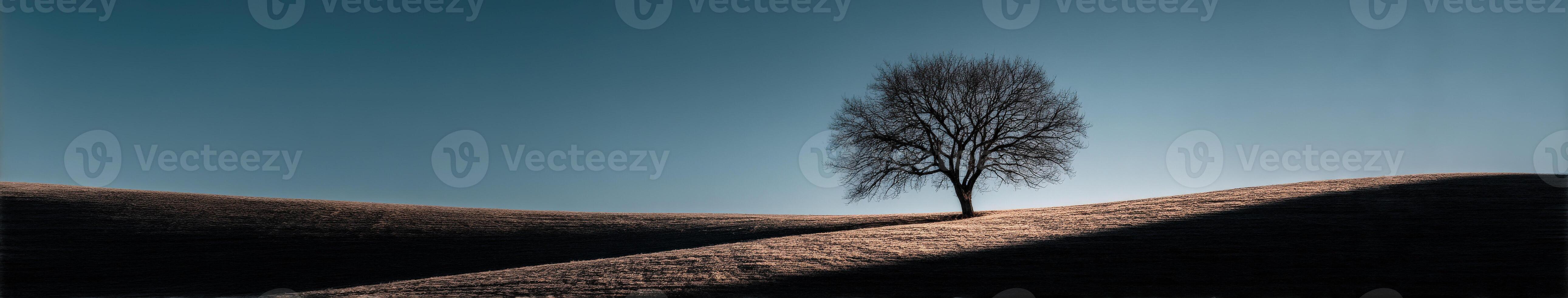 Lonely tree stands on rolling hill at dusk photo