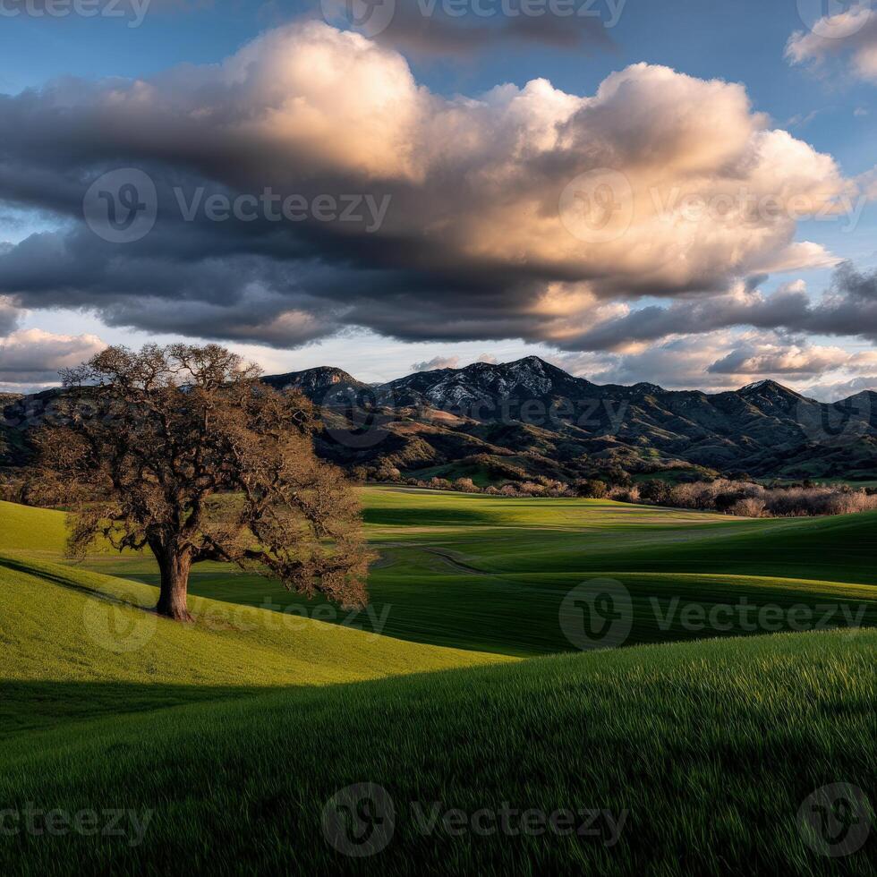 Green hills and dramatic clouds at dusk photo
