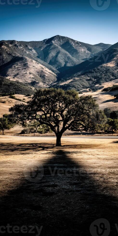 Majestic tree casting a long shadow in hilly landscape photo