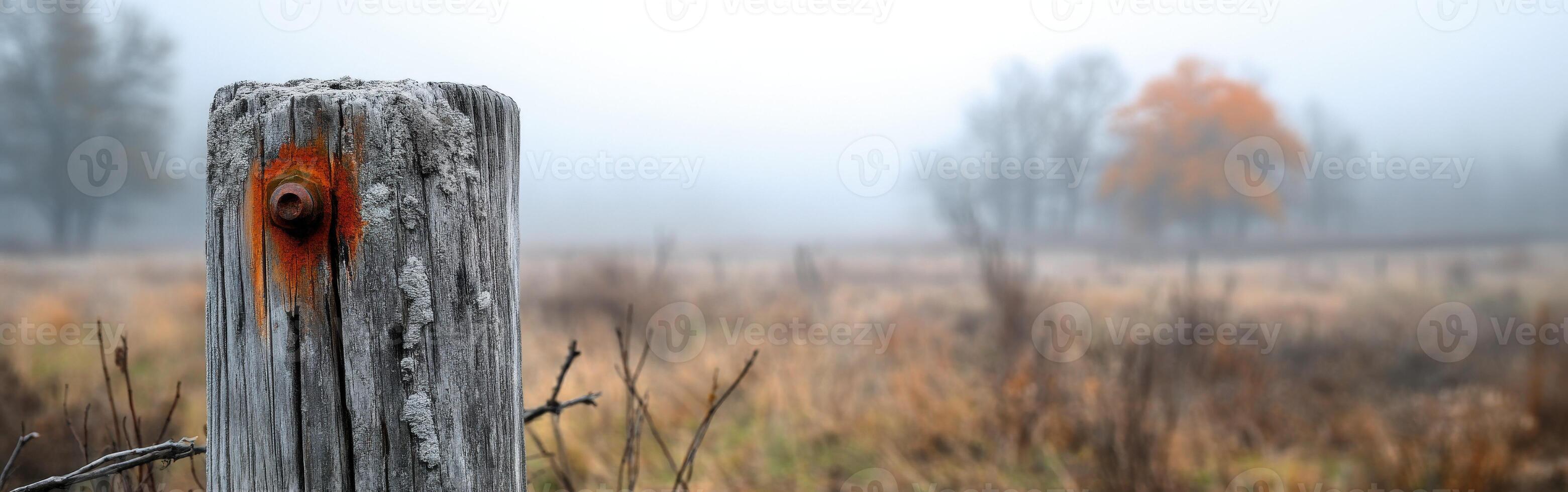 Foggy morning with a post and autumn tree photo