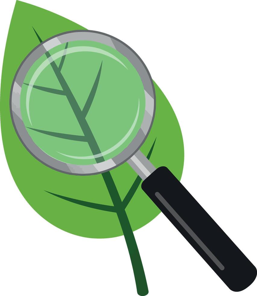 Magnifying glass inspecting green leaf illustration for environmental science research vector