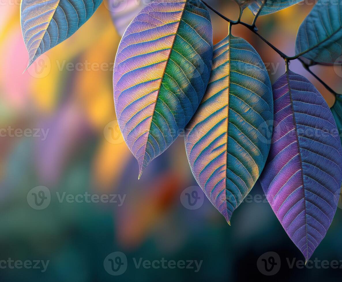 Vibrant leaves contrasting with soft background colors photo