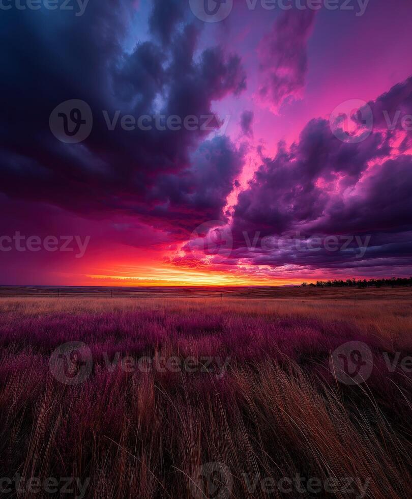 Colorful sunset over vast grassy landscape photo