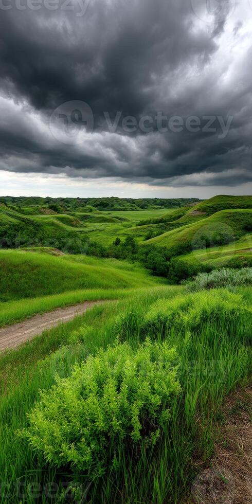 Lush green hills under a dramatic sky in nature photo