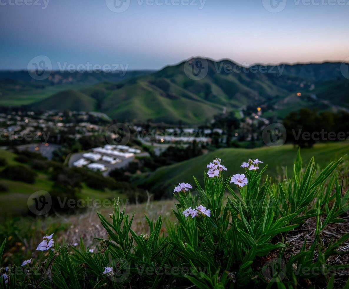 A view of the hills and valley at sunset photo