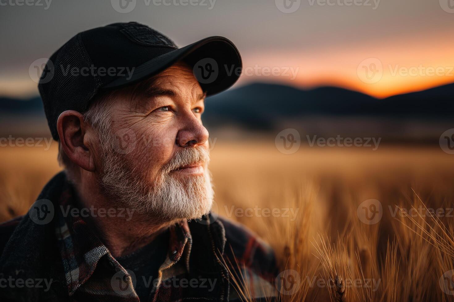 An older man in a plaid shirt and hat in a wheat field photo