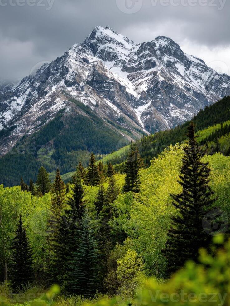 A mountain range with trees and snow capped peaks photo