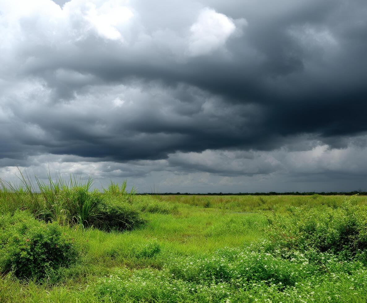 A field with green grass and trees under a dark sky photo