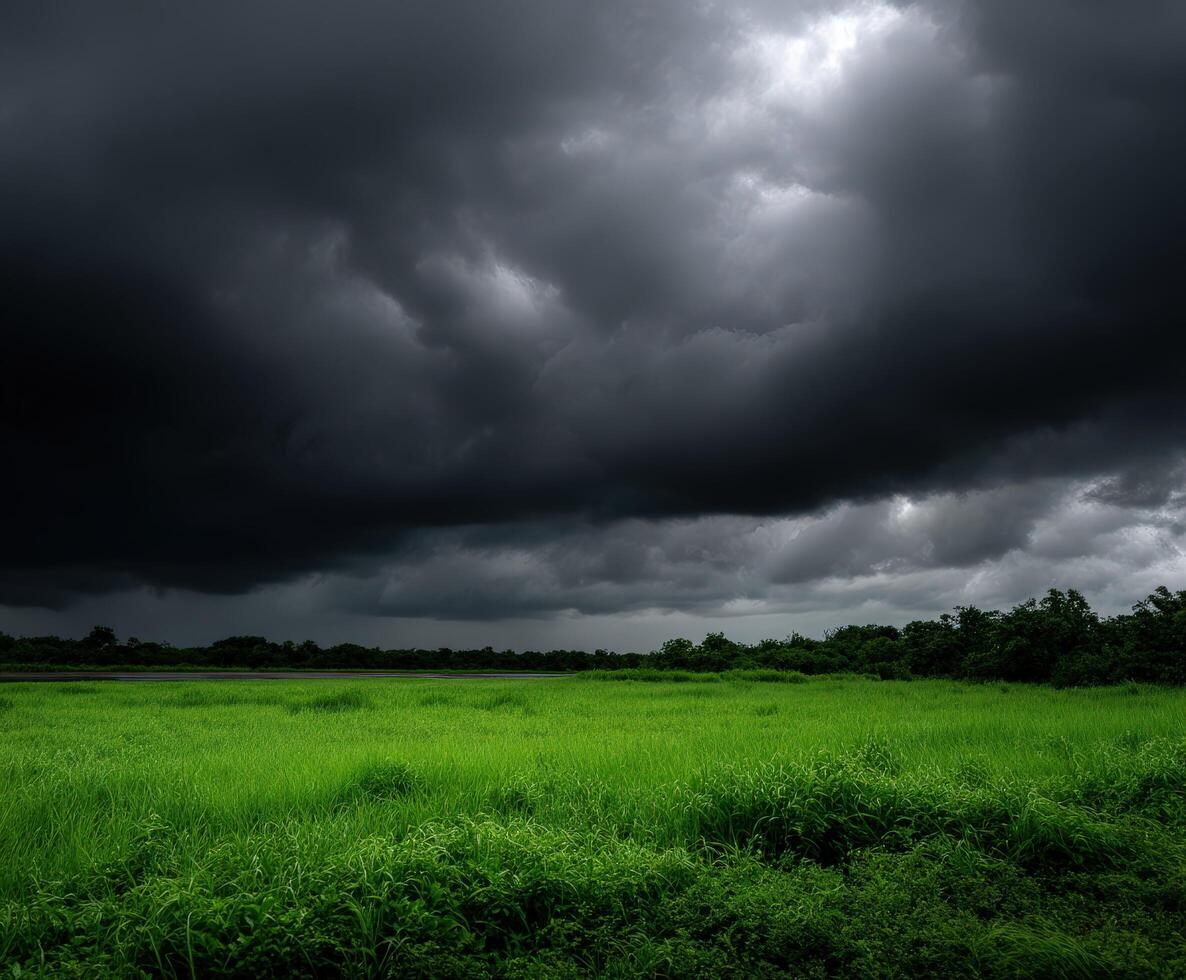 A field with dark clouds over it photo