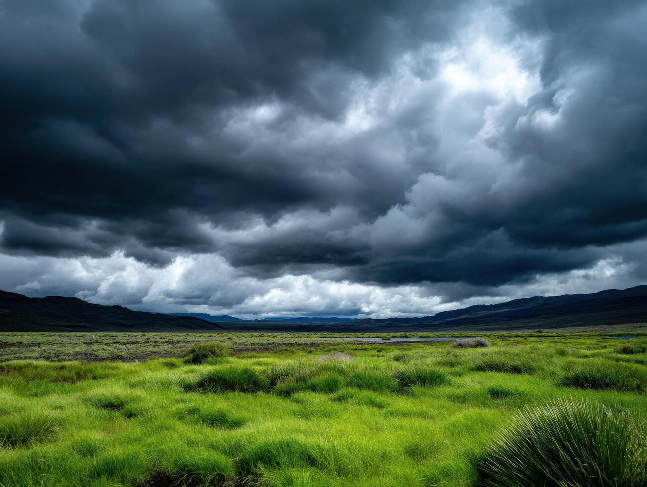 A field with grass and trees under a stormy sky photo