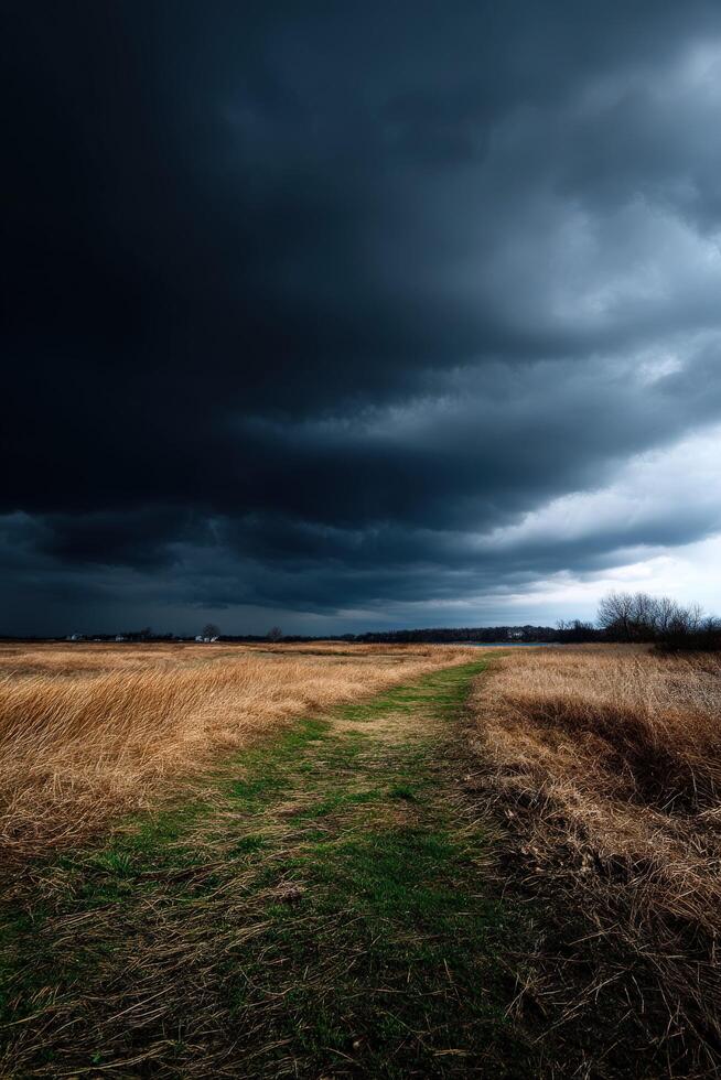 A field with a dirt road and dark clouds photo