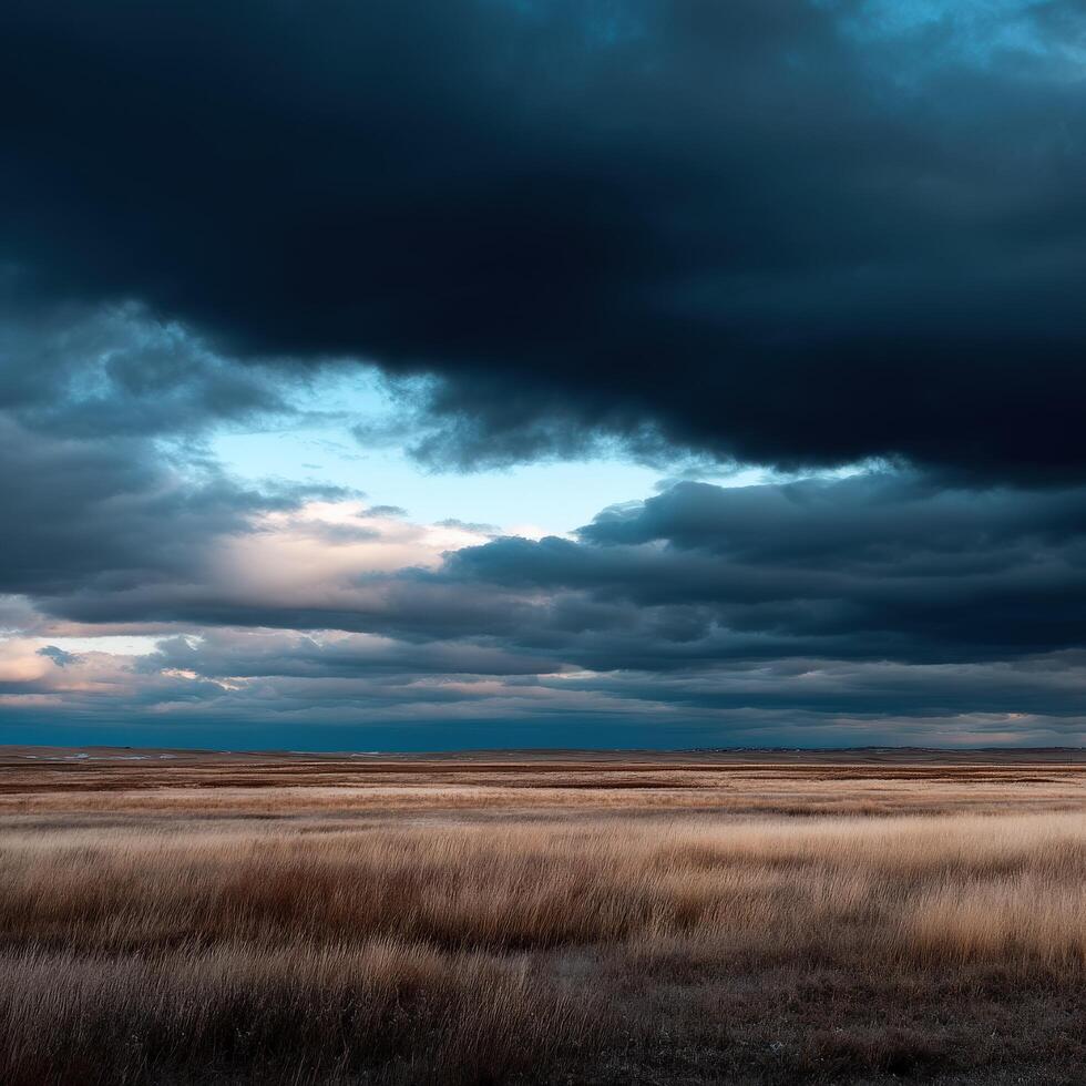 A large field with dark clouds over it photo